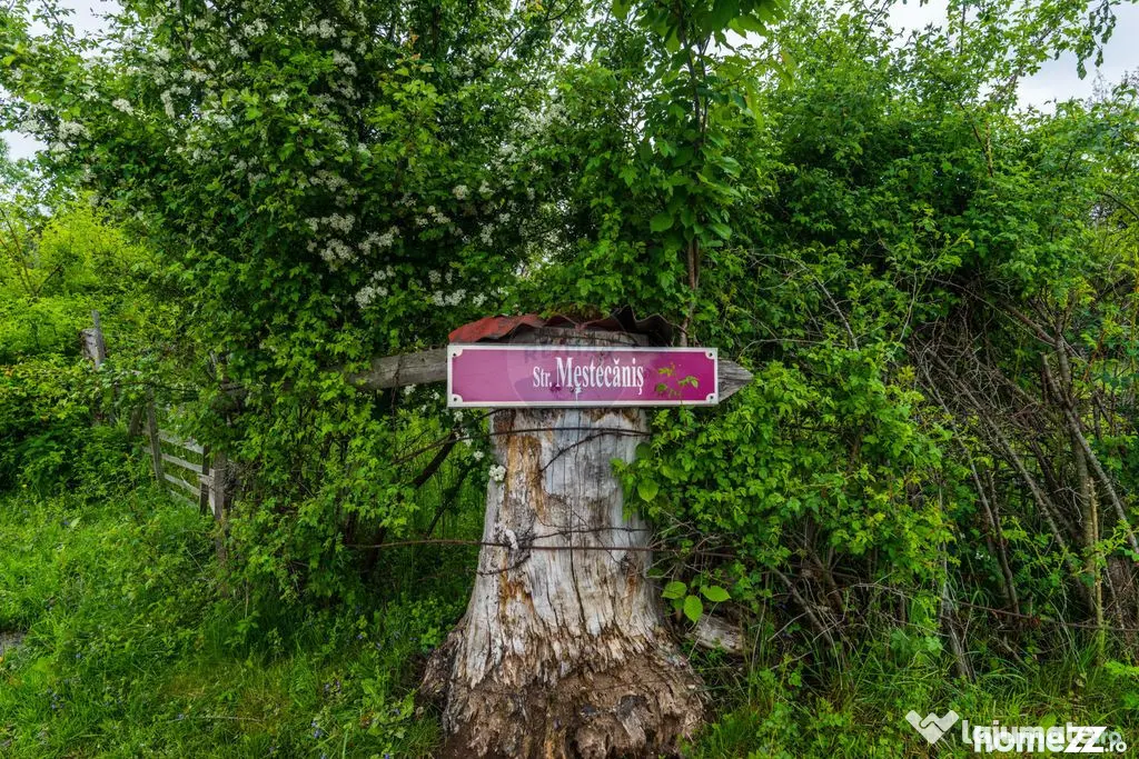 Teren Bran -Sohodol, Strada La mesteceni, 6900mp