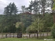 Teren cu priveliste spectaculoasa, 4000mp, la 18km de Sinaia 