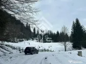 Teren intravilan parcelabil- Colibița, investitie 