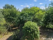 Casa in mediu rural cu teren 