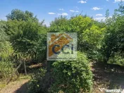 Casa in mediu rural cu teren