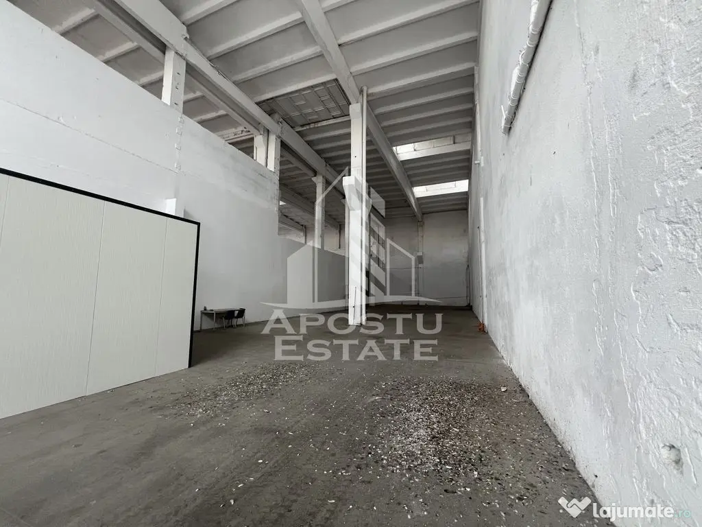 Hala industriala 448 mp cu acces tir - Timisoara (Timis)