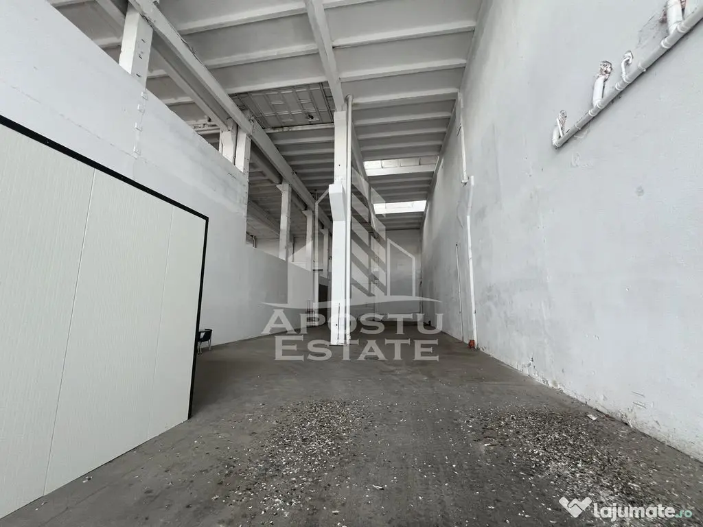 Hala industriala 448 mp cu acces tir - Timisoara (Timis)