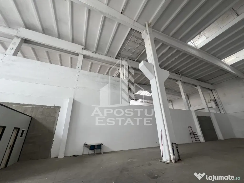 Hala industriala 448 mp cu acces tir - Timisoara (Timis)