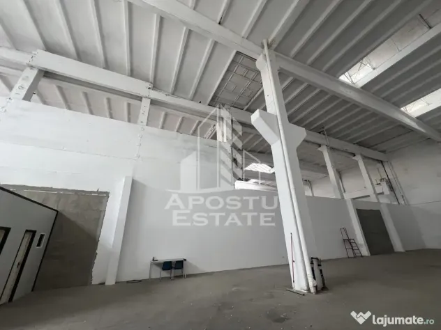Hala industriala 448 mp cu acces tir - Timisoara (Timis)