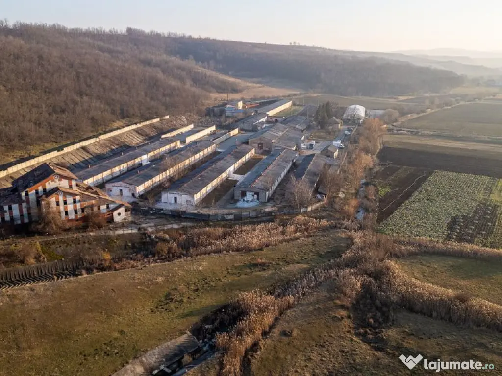 Fosta Ferma a Partidului de la Horgesti - de vanzare