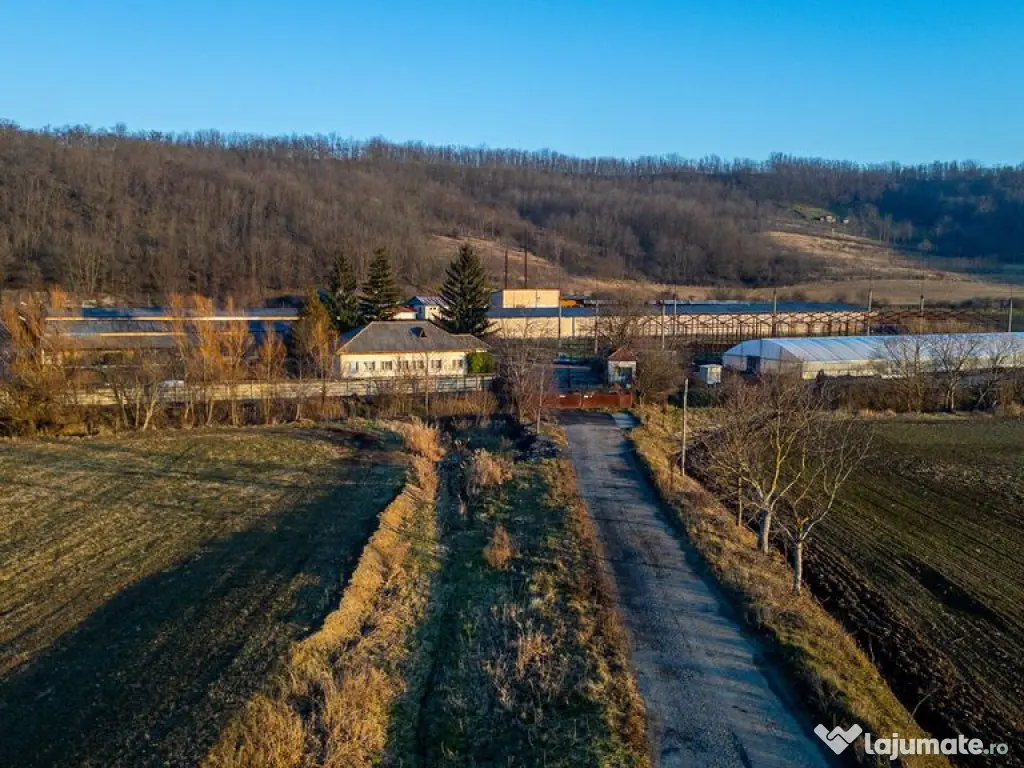 Fosta Ferma a Partidului de la Horgesti - de vanzare