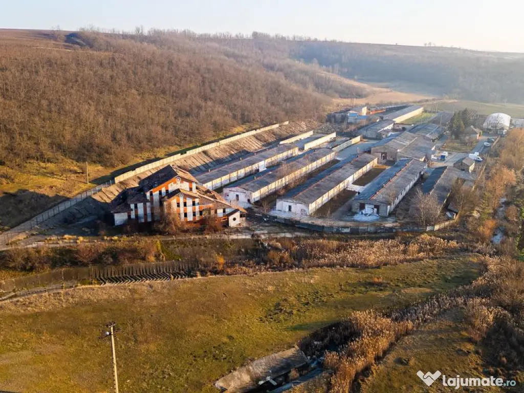 Fosta Ferma a Partidului de la Horgesti - de vanzare