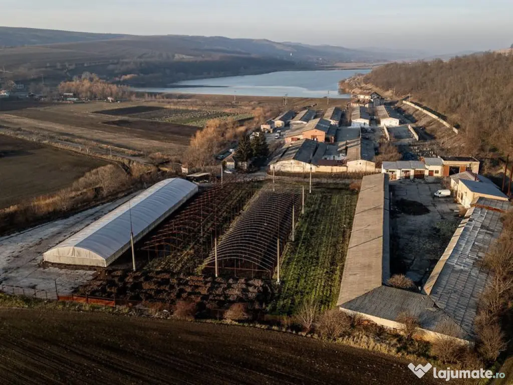Fosta Ferma a Partidului de la Horgesti - de vanzare