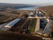 Fosta Ferma a Partidului de la Horgesti - de vanzare 