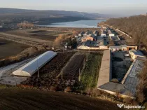 Fosta Ferma a Partidului de la Horgesti - de vanzare