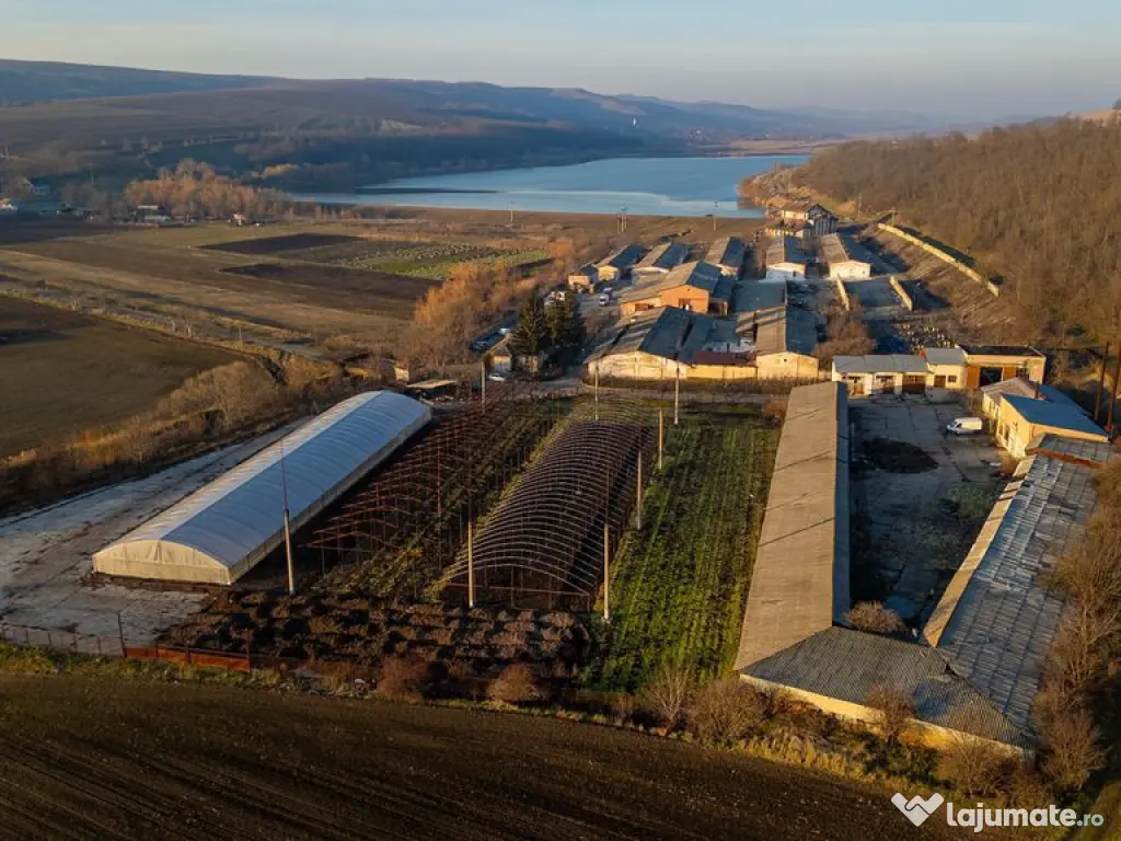 Fosta Ferma a Partidului de la Horgesti - de vanzare