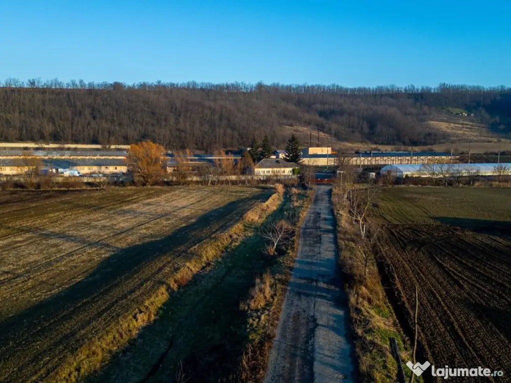 Fosta Ferma a Partidului de la Horgesti - de vanzare