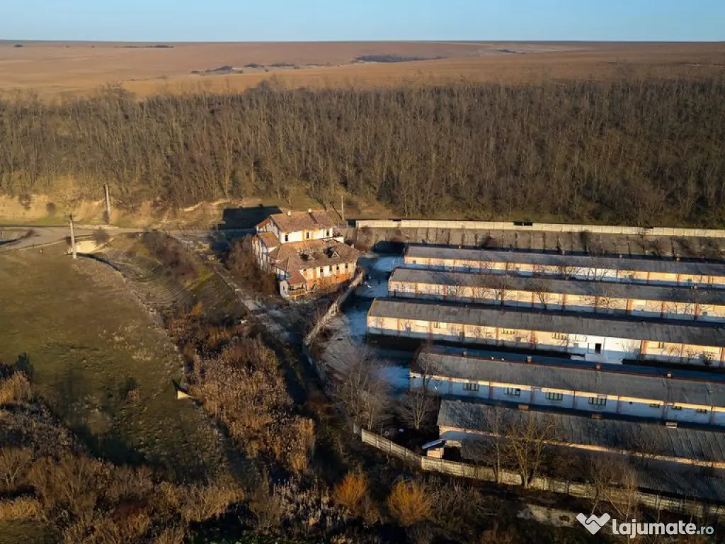 Fosta Ferma a Partidului de la Horgesti - de vanzare