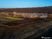 Fosta Ferma a Partidului de la Horgesti - de vanzare 