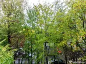 Apartament 3 camere | Huedin Brancoveanu Berceni 