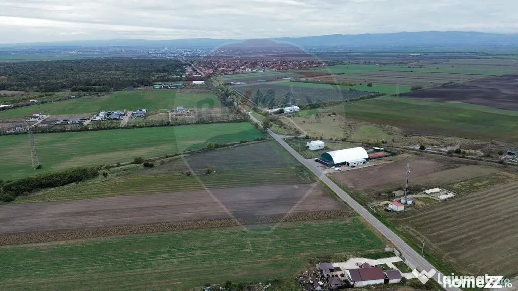Teren 1,800mp Mircestii Vechi / DJ 204E