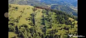 Teren 47,732mp Panaci / Strada MIhailet 