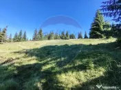 Teren 47,732mp Panaci / Strada MIhailet 