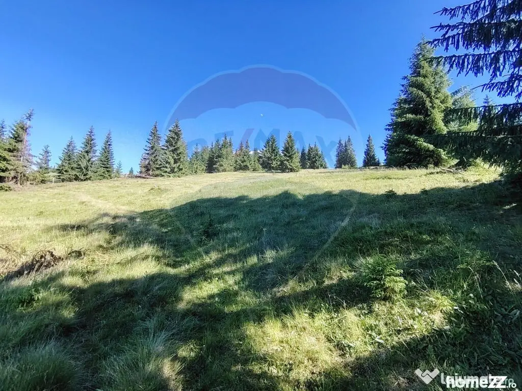 Teren 47,732mp Panaci / Strada MIhailet