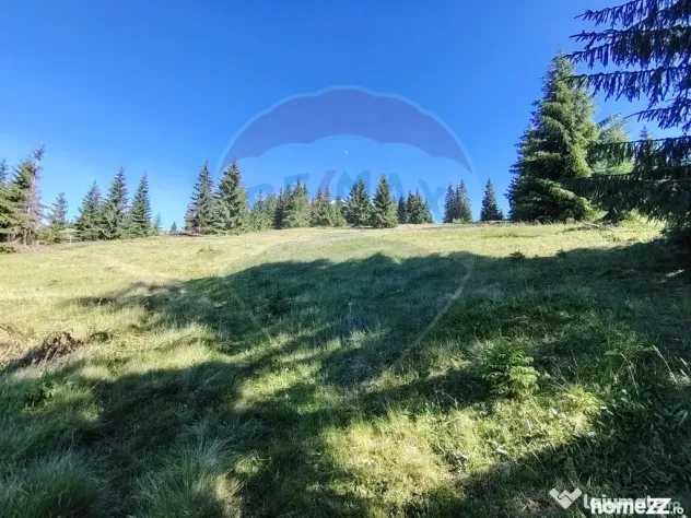Teren 47,732mp Panaci / Strada MIhailet