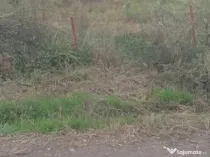 Teren intravilan cu PUZ in Cisnadioara