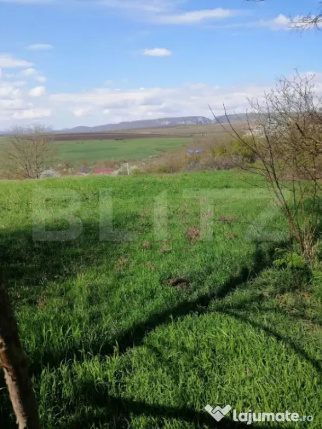 Teren intravilan, 1500 mp in Turda