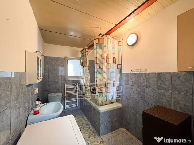 Casa individuala la sat, 5 camere, in Voiteg, judetul Timis - Voiteg (Timis)