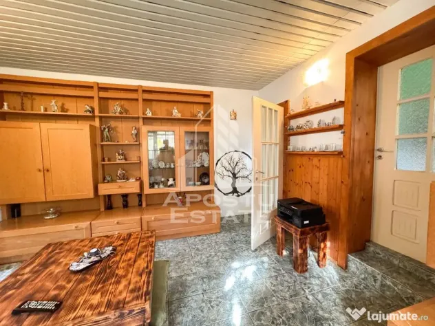 Casa individuala la sat, 5 camere, in Voiteg, judetul Timis - Voiteg (Timis)