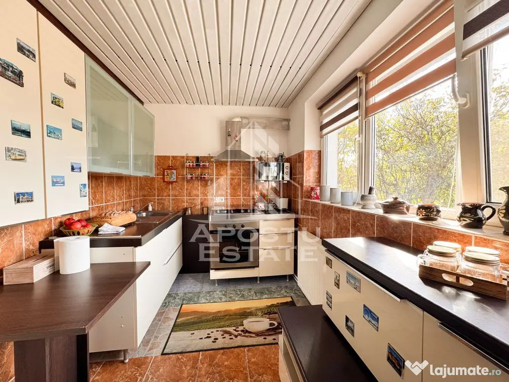 Casa individuala la sat, 5 camere, in Voiteg, judetul Timis - Voiteg (Timis)