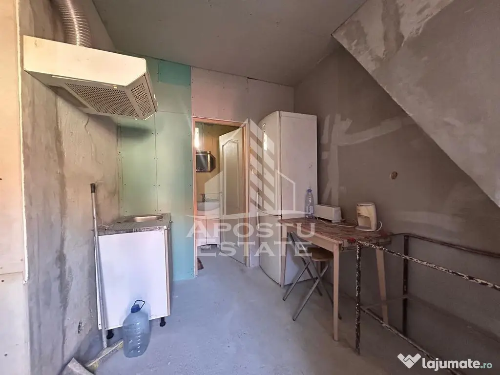 Apartament cu 1 camera la curte comuna cu putini locatari, in Balcescu - Timisoara (Timis)