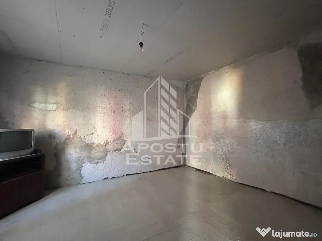 Apartament cu 1 camera la curte comuna cu putini locatari, in Balcescu - Timisoara (Timis)