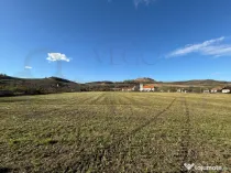 Teren intravilan de vânzare în Alma jud. Sibiu – 7.342 m