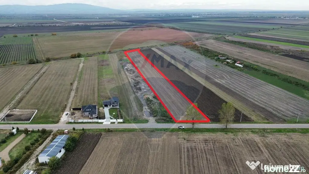 Teren intravilan 10869mp Mircestii Vechi / DJ 204E - Mircestii Vechi (Vrancea)