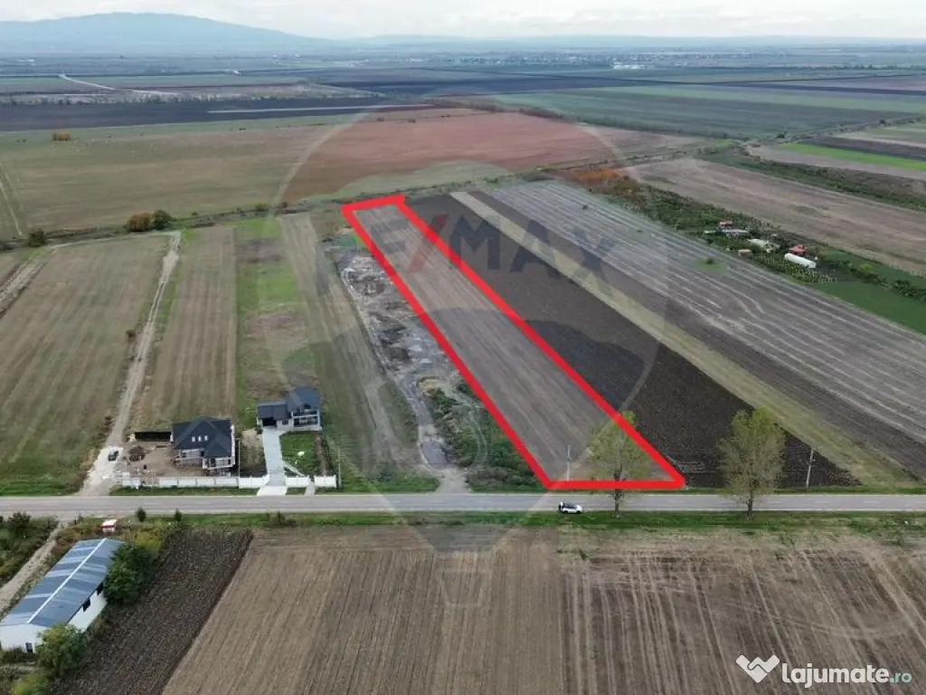 Teren intravilan 10869mp Mircestii Vechi / DJ 204E