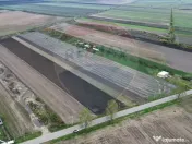 Teren intravilan 10869mp Mircestii Vechi / DJ 204E 