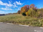 Teren Mosoaia 10200 mp intravilan Arges 