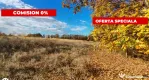 Teren Mosoaia 10200 mp intravilan Arges