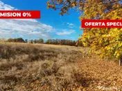 Teren Mosoaia 10200 mp intravilan Arges 