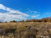 Teren Mosoaia 10200 mp intravilan Arges 