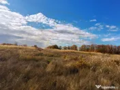 Teren Mosoaia 10200 mp intravilan Arges 