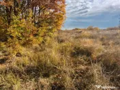 Teren Mosoaia 10200 mp intravilan Arges 