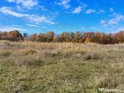 Teren Mosoaia 10200 mp intravilan Arges 