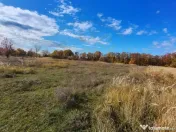 Teren Mosoaia 10200 mp intravilan Arges 