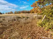 Teren Mosoaia 10200 mp intravilan Arges 