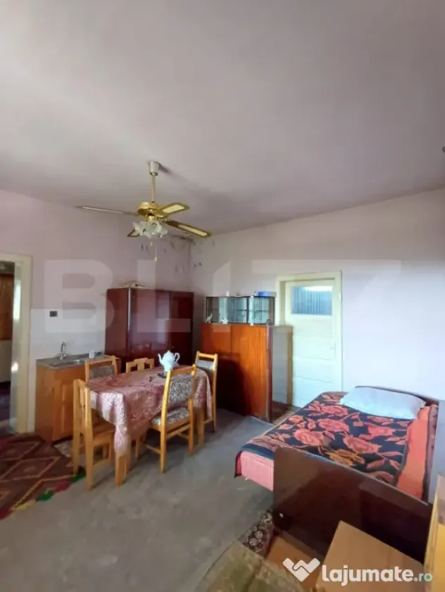 Casa renovabila cu 11508 mp teren, in Copaceni