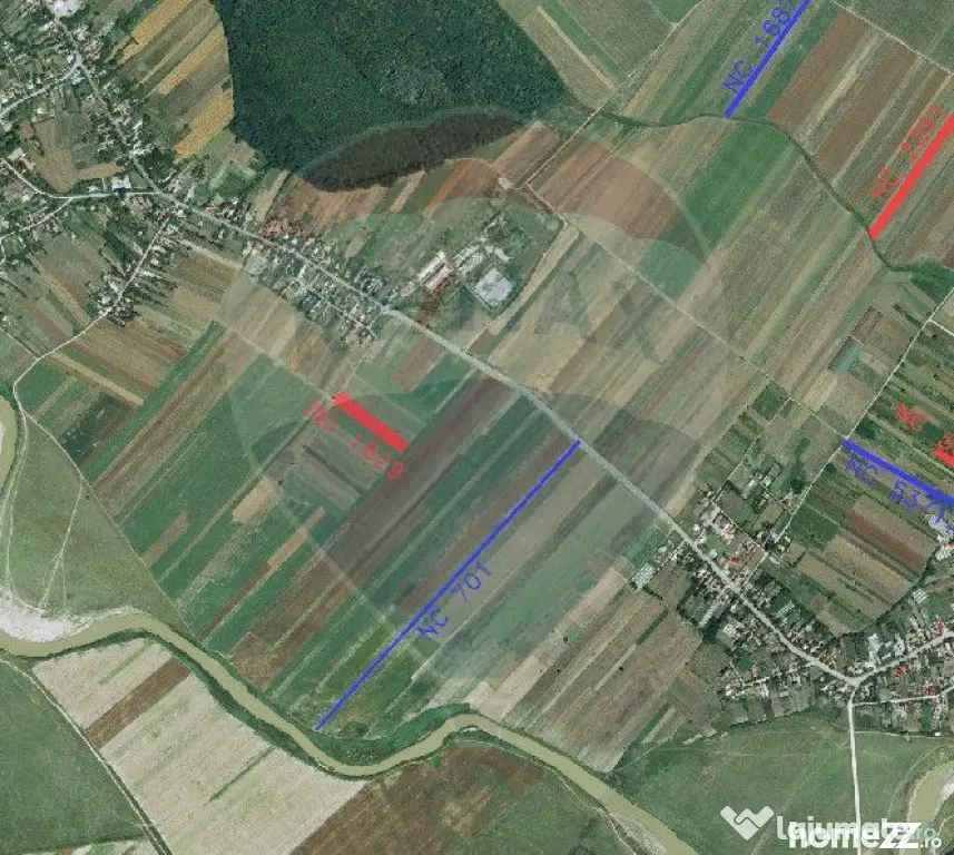 Teren 4,955mp in Nuci Ilfov, la numai 100 m de ultima cas...