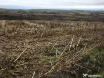 Teren intravilan, 5000 mp, Siret