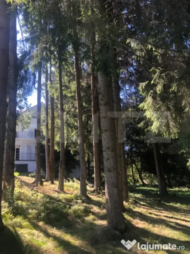 Afacere la cheie! Vila clasificata, 5 camere, 300 mp, teren