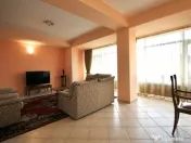 DOROBANTI-TUDOR STEFAN, ELEGANT, SINGUR PE NIVEL, 123MP! 